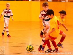 mini-Schlins-U9-Spiegl-DSC_1328